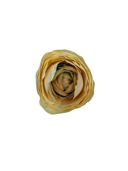 Pełnik główka 8 cm wanilia oliwka