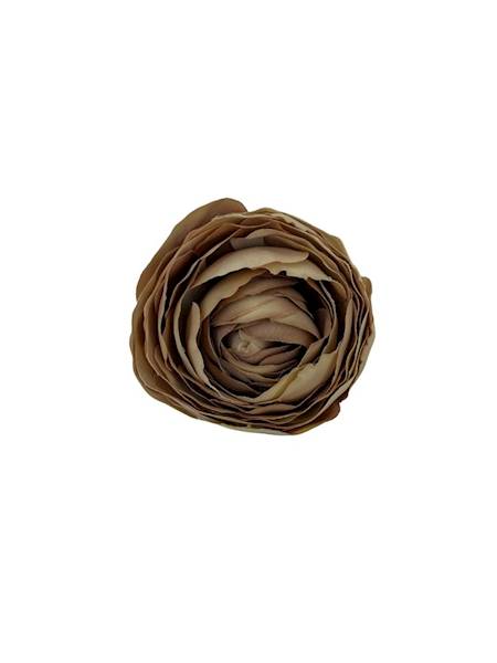 Pełnik główka 8 cm capuccino