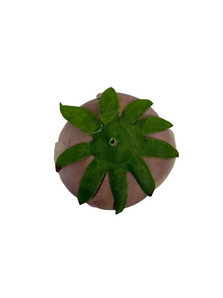 Pełnik główka 8 cm capuccino
