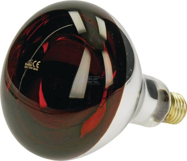 Promiennik Hardglass 150w Czerwony