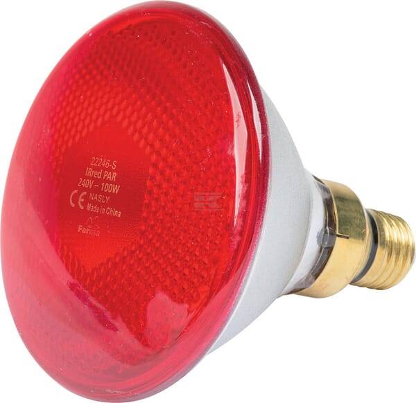 Promiennik Par 100w Czerwony
