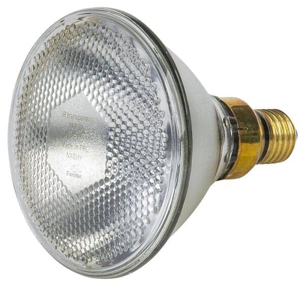 Promiennik Par Biały 100w