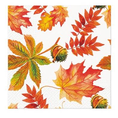 Serwetka PAW 33x33 20 szt SDL136500