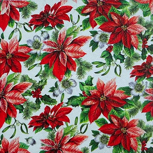 Serwetka PAW Professional 40x40 50 szt AAN231300 Glory Poinsettia