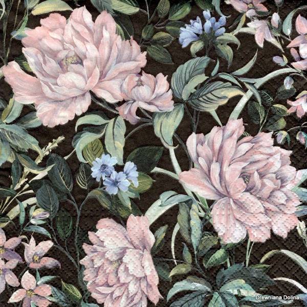Serwetka PAW 33x33 20 szt SDL121305