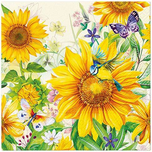 Serwetka PAW 33x33 20 szt SDL145500
