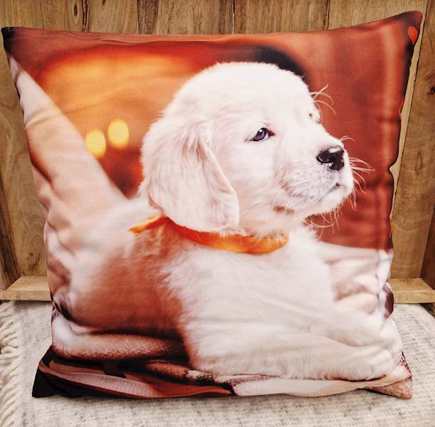 Poszewka mesa 42x42 031/43