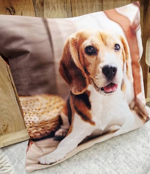 Poszewka mesa 42x42 031/31