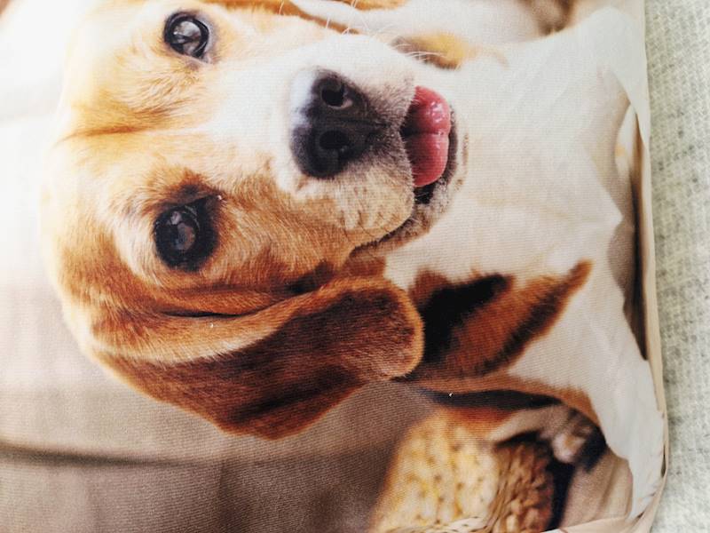 Poszewka mesa 42x42 031/31