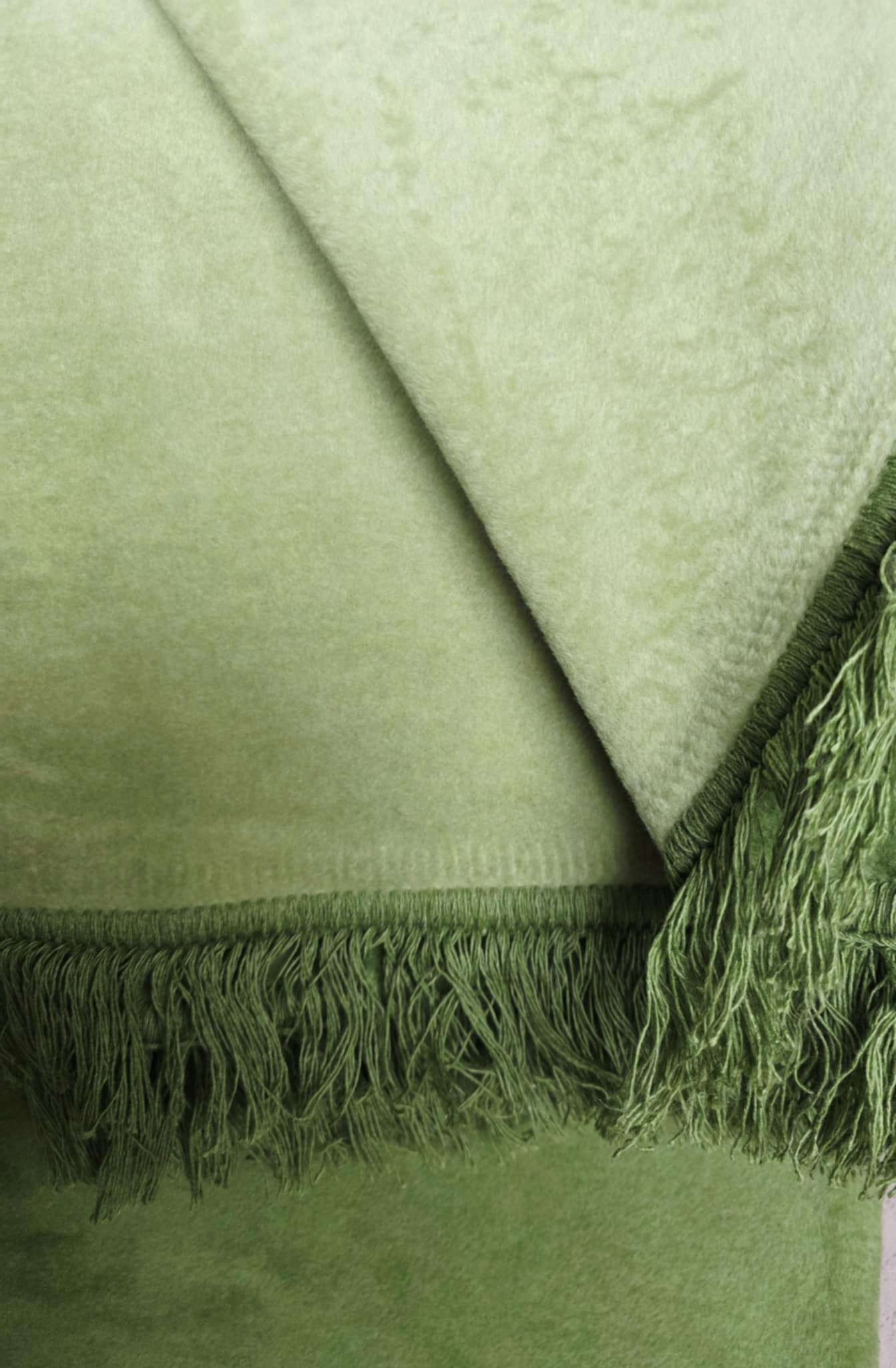 Koc bawełniany Cotton 150x200 Palme/esperance