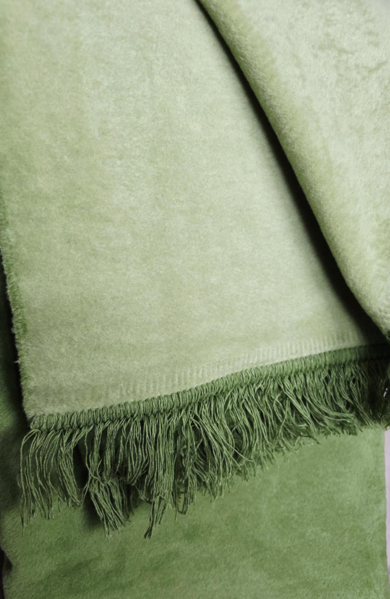 Koc bawełniany Cotton 150x200 Palme/esperance