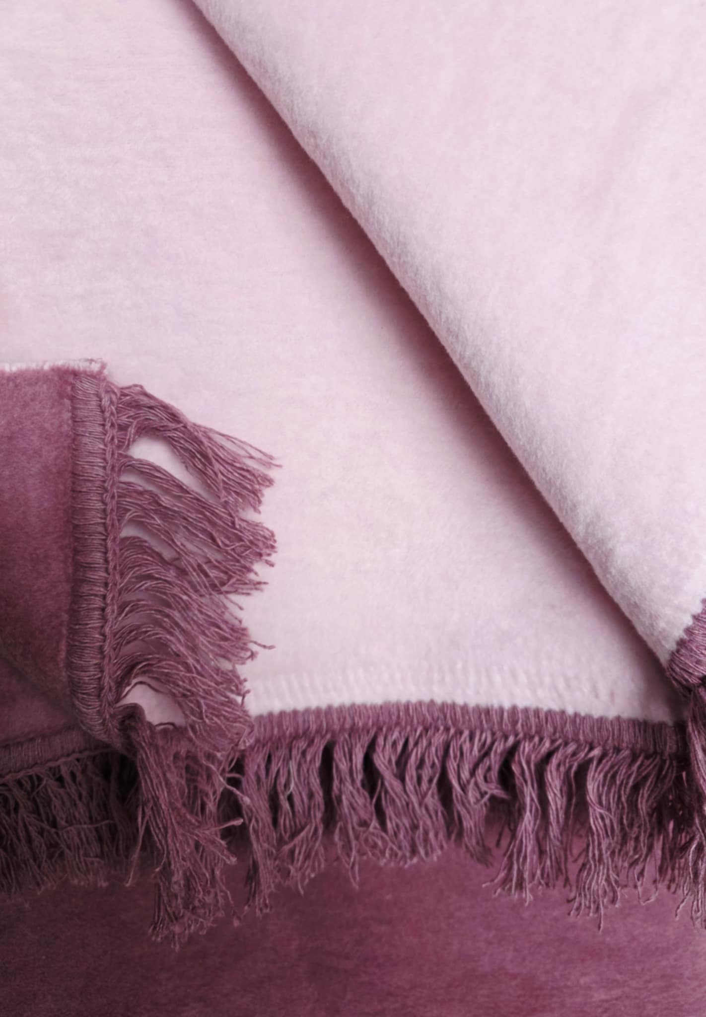 Koc bawełniany Cotton 150x200 Wild orchidea/ rose palido