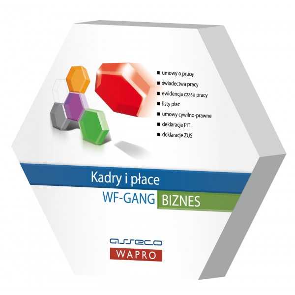 ASSECO WAPRO  BIZNES WF-GANG WIN BOX 30 Prac.
