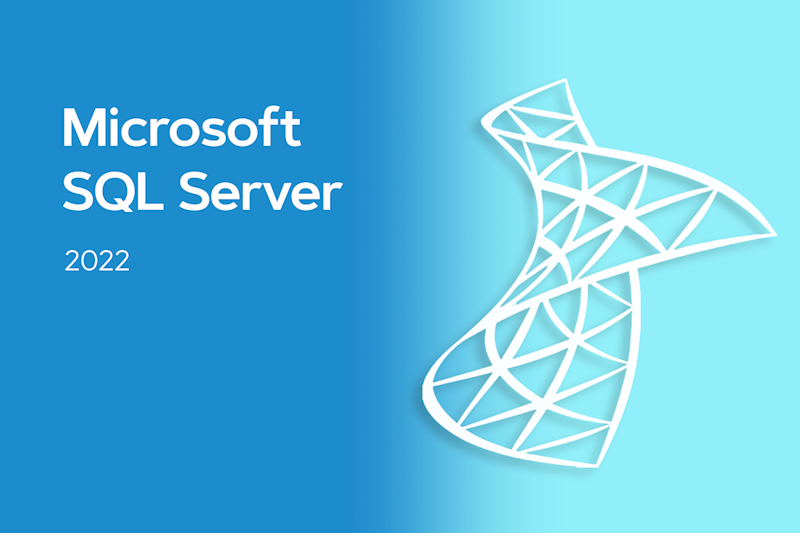 MICROSOFT SQL 2019/2022 RUNTIME STD CAL 1 stan.