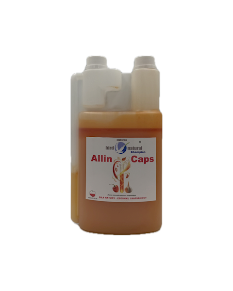 ALLIN CAPS CHAMPION 1L