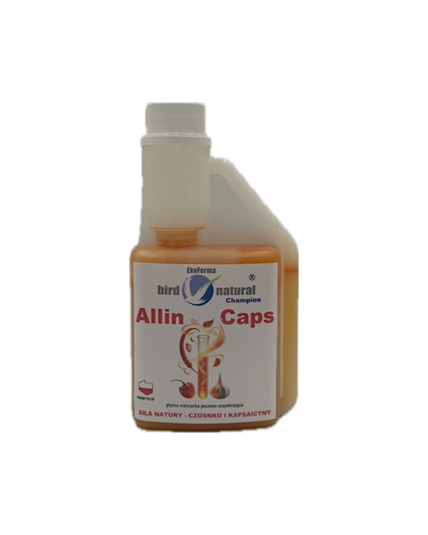 ALLIN CAPS CHAMPION 250ML