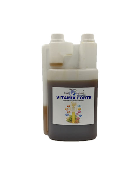 VITAMIX FORTE CHAMPION 1L