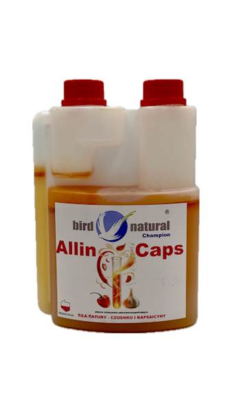 ALLIN CAPS CHAMPION 500ML