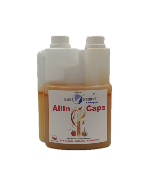 ALLIN CAPS CHAMPION 500ML