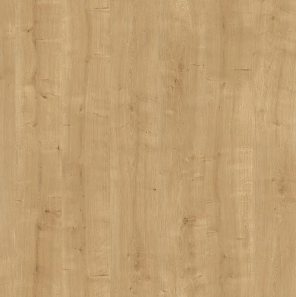 BLAT H3303 ST10 4100X600X38 DAB HAMILTON NATURALNY