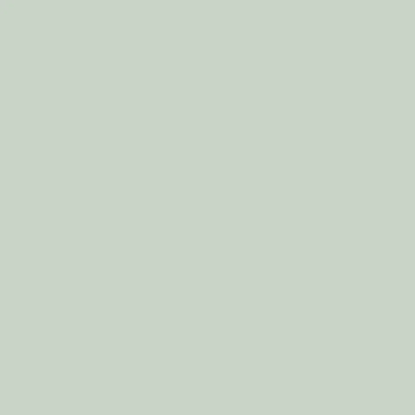 U708 ST9 23/2 SZARY JASNY