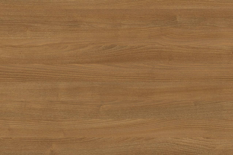 H1251 ST19 43/2 ROBINIA BRANSON NATURALNA