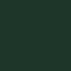 U699 ST9 43/2 JODLA ZIELONA