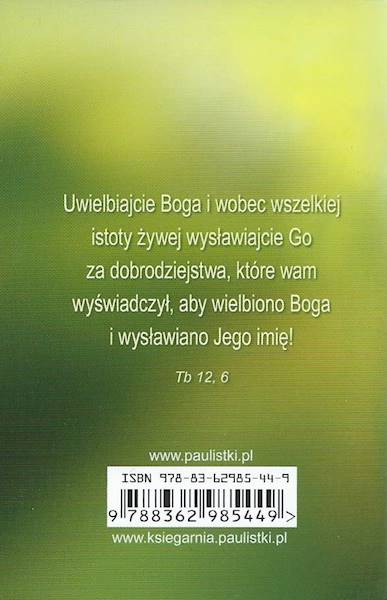 Nowenna i modlitwy do RAFAŁA Archanioła - Praca zbiorowa