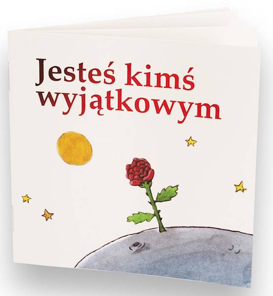 Jesteś kimś wyjątkowym - Andrea St. Thomas - seria Kwadratowa 8