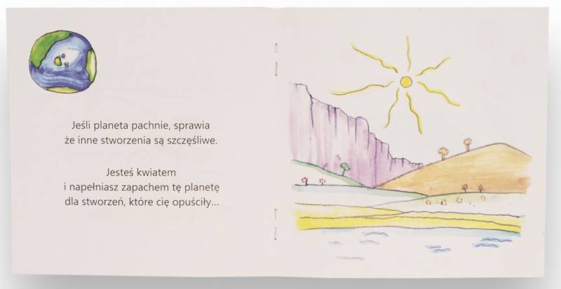 Jesteś kimś wyjątkowym - Andrea St. Thomas - seria Kwadratowa 8