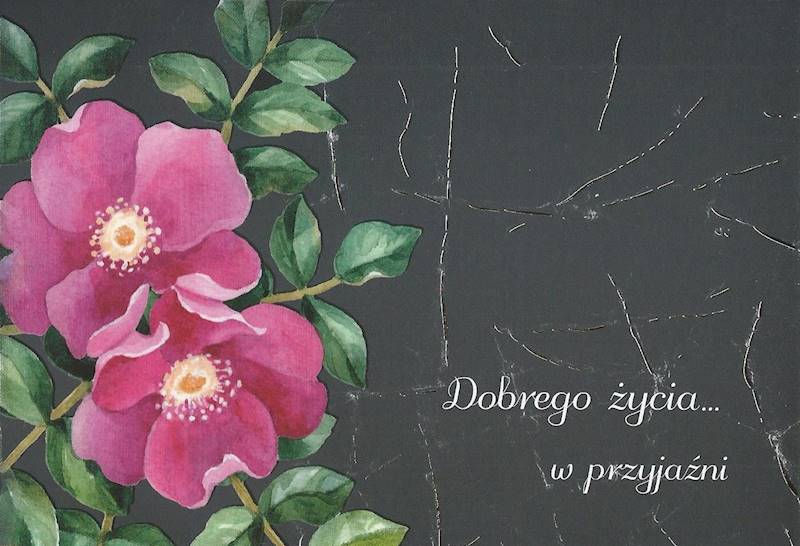 Karnet z kopertą: 6. DOBREGO ŻYCIA... w przyjaźni - Epikur