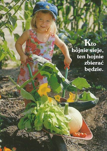 Kartka Pocztówka MALUCHY 7. 12 "Kto hojnie sieje, ten hojnie zbierać będzie"