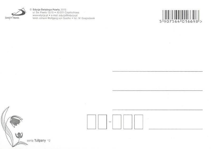 Kartka Pocztówka TULIPANY 2. "Cud jest najukochańszym dzieckiem wiary."