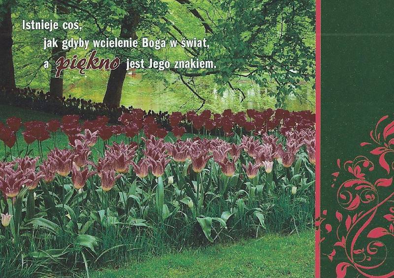 Kartka Pocztówka TULIPANY 3. "Istnieje coś, jak gdyby wcielenie Boga..."