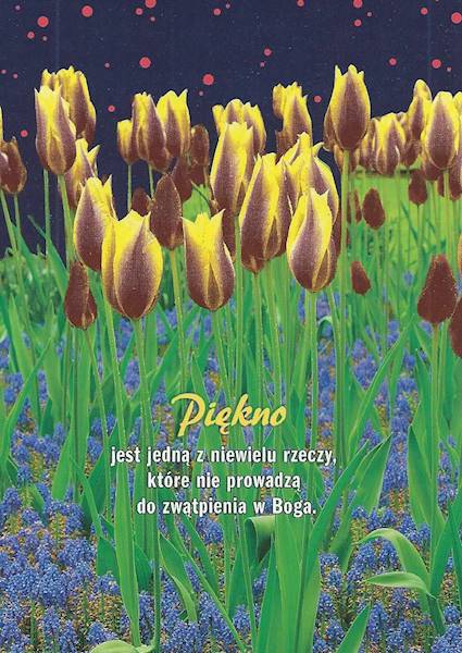 Kartka Pocztówka TULIPANY 5. "Piękno jest jedną z niewielu rzeczy..."