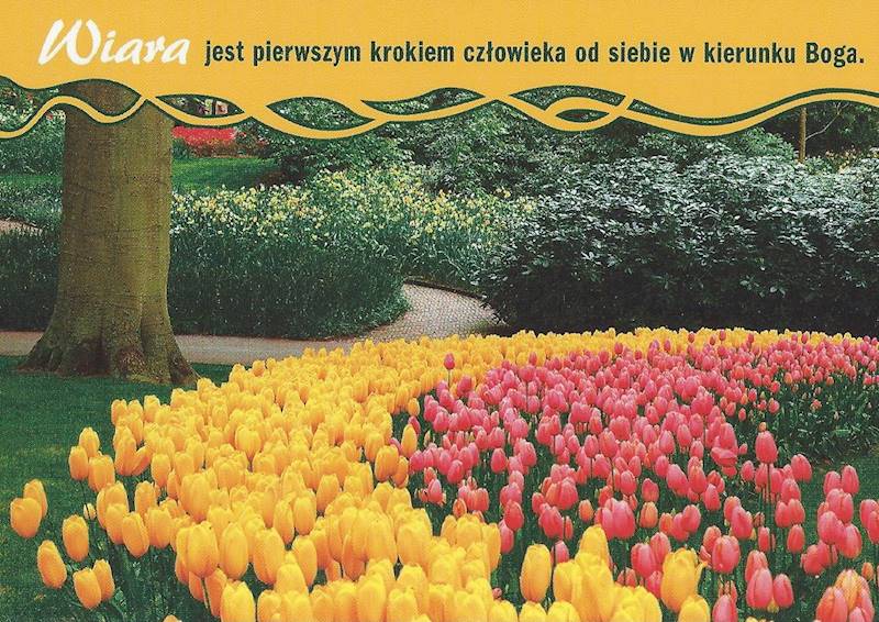 Kartka Pocztówka TULIPANY 8. "Wiara jest pierwszym krokiem od siebie..."