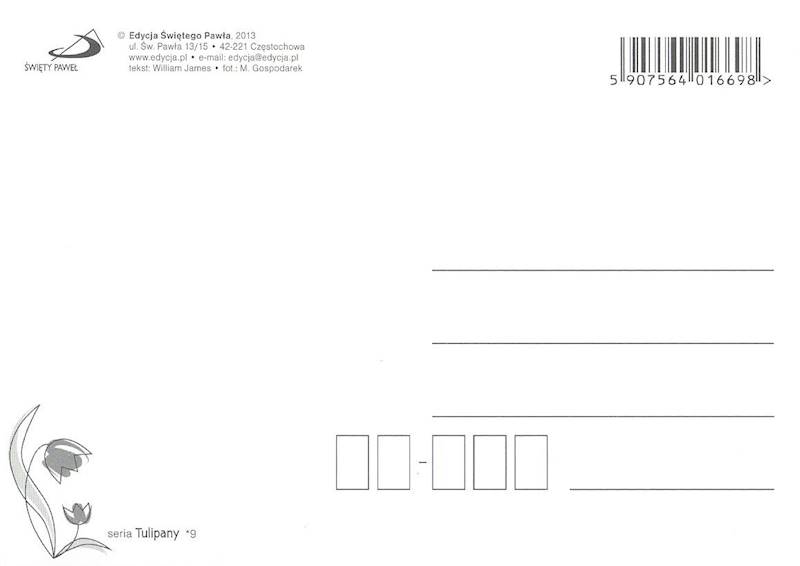 Kartka Pocztówka TULIPANY 9. "Wierzyć nie myśląc, jest prawie..."