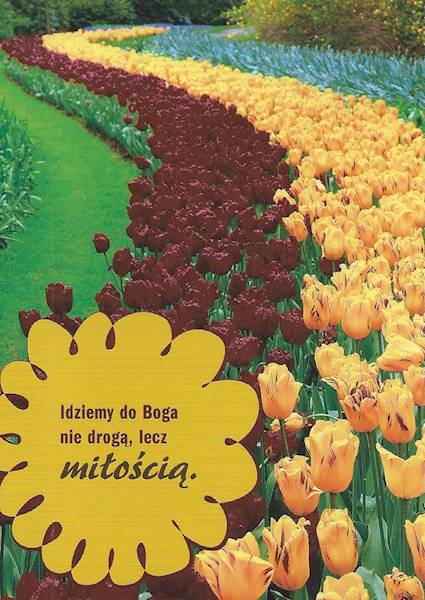 Kartka Pocztówka TULIPANY 12. "Idziemy do Boga nie drogą, lecz miłością."