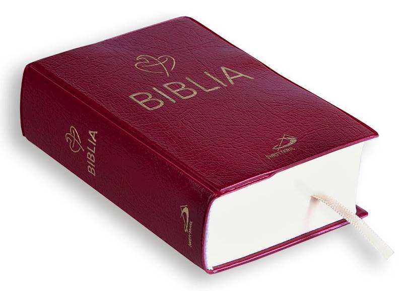 BIBLIA STARY i NOWY TESTAMENT Tabor - PVC, bordowy