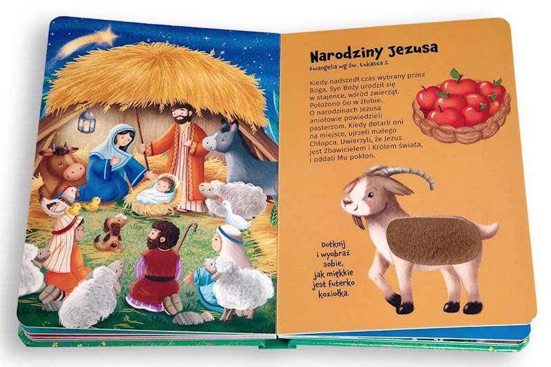 Biblia. Zobacz, dotknij i poczuj! - Praca zbiorowa