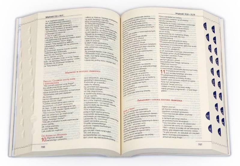 BIBLIA STARY i NOWY TESTAMENT "z rybką". Oprawa miękka, niebieska, z paginatorami