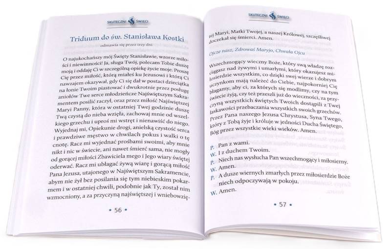 SKUTECZNI ŚWIĘCI: Święty Stanisław Kostka - książka