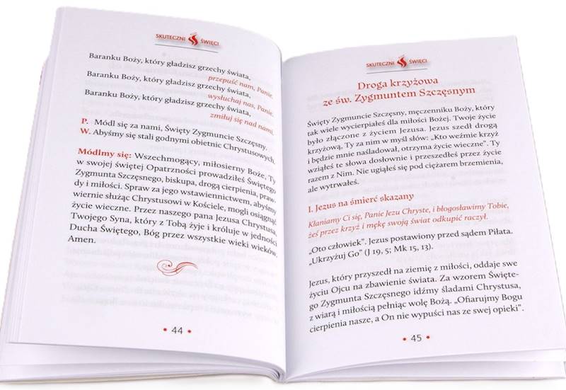 SKUTECZNI ŚWIĘCI: Święty Zygmunt Szczęsny Feliński - książka
