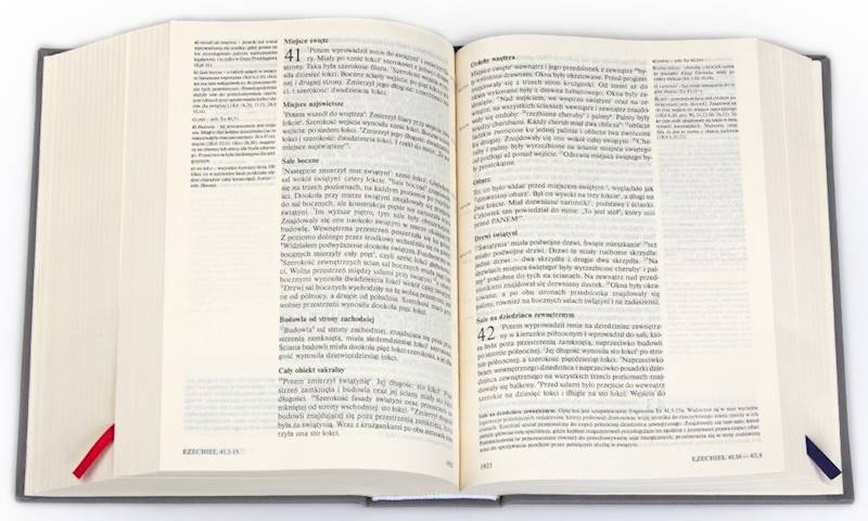 PISMO ŚWIĘTE ST i NT "z gołębicą" - duży format, oprawa twarda szara