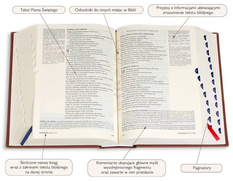 PISMO ŚWIĘTE ST i NT "z gołębicą" - duży format, twarda, szara, paginatory