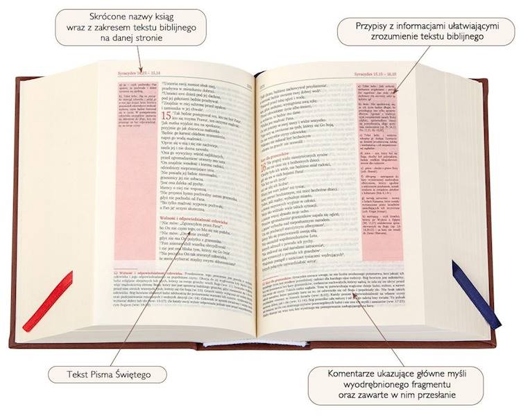 PISMO ŚWIĘTE ST i NT "z gołębicą" - mały format, oprawa twarda różowa