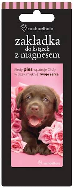 Zakładka magnetyczna "Kiedy pies wpatruje Ci się w oczy..." ZK003