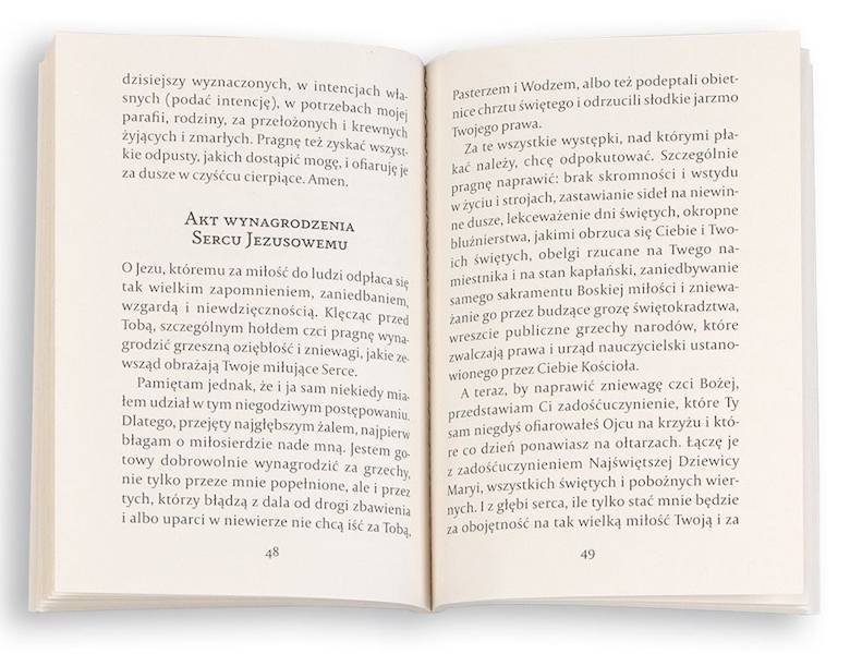 Panie, pozostań w moim sercu. Rozmowa z Jezusem po przyjęciu Komunii Świętej - Praca zbiorowa