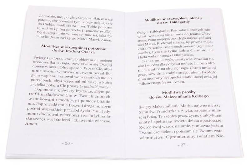 SKUTECZNE MODLITWY: Modlitwy W SZCZEGÓLNYCH POTRZEBACH