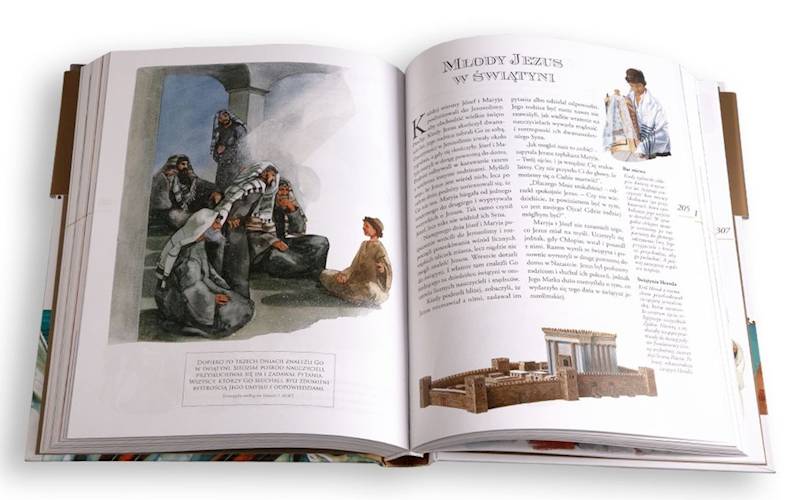 ILUSTROWANA BIBLIA RODZINNA - Neil i Tinq Morris